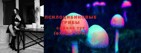 спиды Волосово