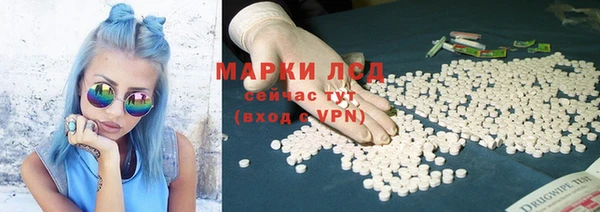 спиды Волосово